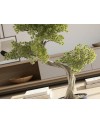 BANKAN II - BONSAI 49CM